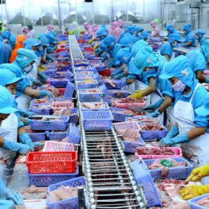 Xuất khẩu thủy sản năm 2020 có thể cán đích 8,6 tỷ USD