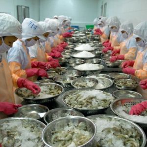 Âu Vững Seafood - Nhà Cung Cấp Đáng Tin Cậy Với Chất Lượng Vàng