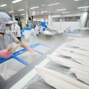 Xuất khẩu thủy sản tháng 10/2020 tiếp tục tăng 10%